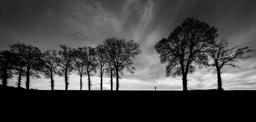 serie self² solitude fribourg suisse switzerland landscape paysage blackandwhite noiretblanc nikon d700 2470 sky ciel arbre trees noir black outdoor extérieur