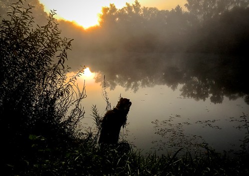 morning sun lake water fog sunrise dawn fishing day backlit iphone iphoneography