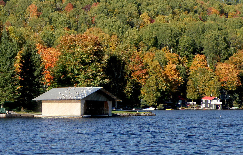 baptiste in autumn gulls on boathouse2