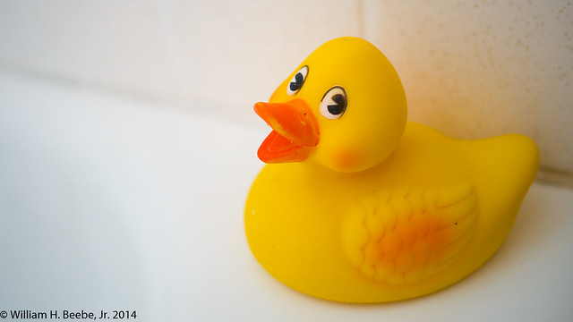 old rubber duck
