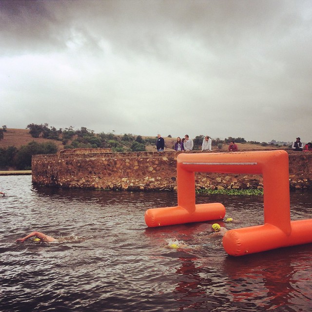 Heia Safari Swim Challenge 2014