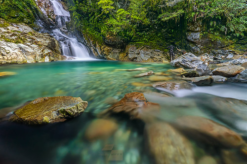 newzealand nature water rock forest waterfall pond falls jungle nz milfordsound southland fallscreek naturalpool