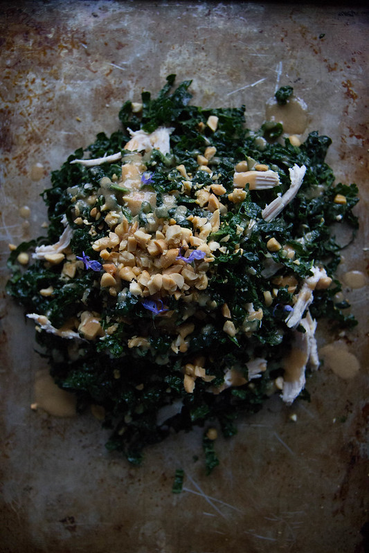 Kale and Chicken Salad with Peanut Vinaigrette