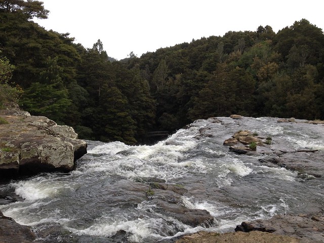 Whangarei Falls