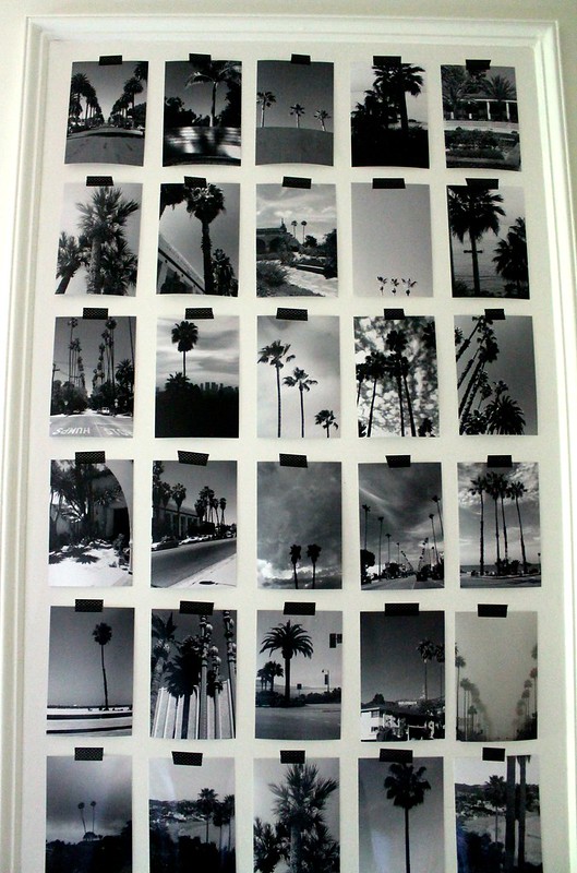 Palm Tree Gallery Wall