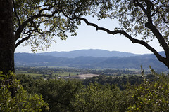 Rutherford Hill Winery, Napa