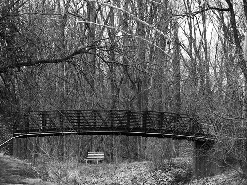 project52 landscape blackandwhite bridge bench tree park indiana brownsburg 2017