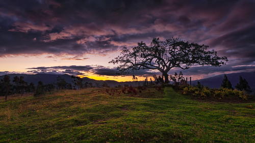 grass ecuador landscape tree fields sky sunset southamerica hill otavalo ellechero imbabura ec canon