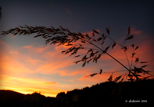 sunset oktober outside evening abend october sonnenuntergang kärnten carinthia pisweg daham drausen