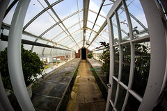 Birdhaven Greenhouse
