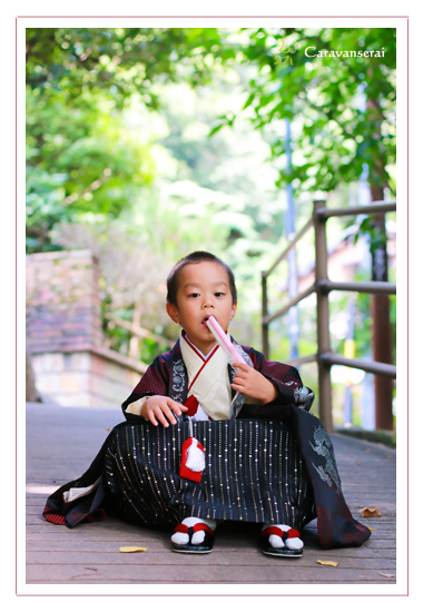 七五三写真　出張撮影　深川神社　窯垣の小径　愛知県瀬戸市　記念　家族写真