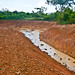 Ibiza - Fish-pond-rain-Permaculture-Food-Forest-Farm-Kampot-Cambodia
