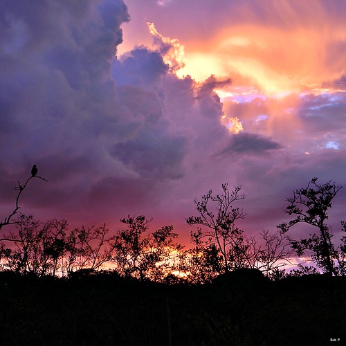 sunset sky clouds nikon florida hawk stormy estuary mangrove swamp coolpix palmbeachcounty northpalmbeach