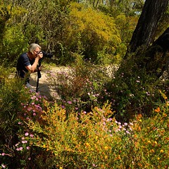 A garden of flowers in the forest... #southernforestwa #springdownsouth #wildflowerswa this season is stunning and our clients have not been disappointed!