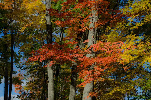fall fallcolor michigan fallinmichigan autumn 1000views onethousandviews