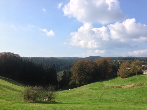 forest deutschland saxony meadow meadows wiese wiesen lower wald niedersachsen hohegeis