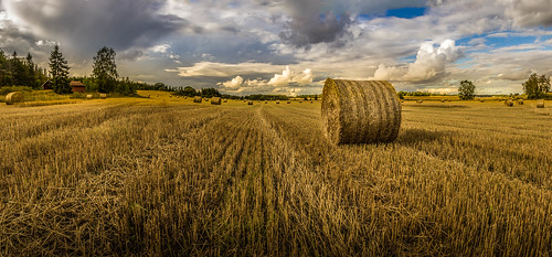 field canon countryside sweden wheat haystack 60d