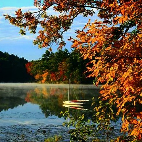 morning autumn trees sky lake reflection fall nature water rural landscape boat country calm fallfoliage uploaded:by=instagram