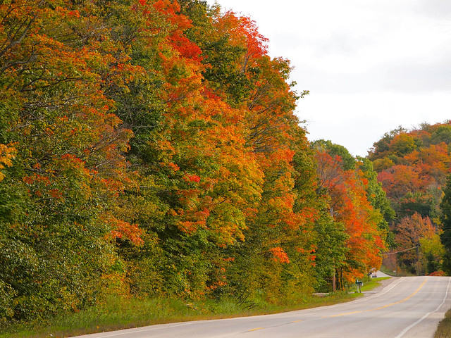 Fall colors in Michigan