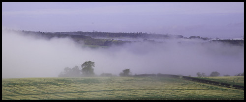 england fog canon countryside tyne northumberland britishcountryside northofengland northumberlandnationalpark