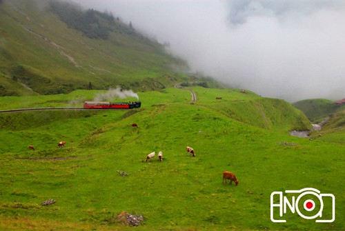 old travel red white mountain alps green clouds train switzerland high europe cows steam land anood climbs rothorn brienze flickrtravelaward redeye313