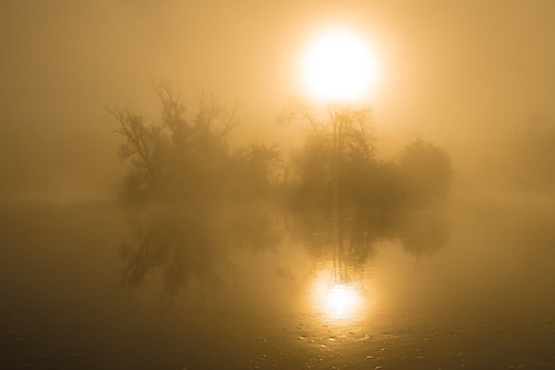 ontario canada water silhouette fog sunrise river peterborough otonabee