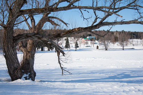 winter lake snow canada quebec hiver lac william neige saintferdinand