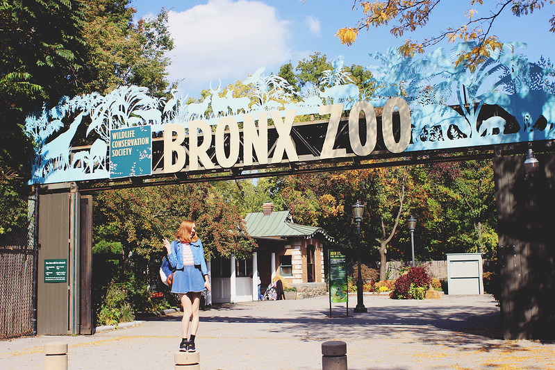 bronx zoo.