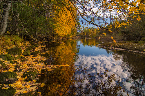 blue autumn trees lake green water colors leaves yellow norway clouds reflections norge colours pentax scandinavia 1224mm hdr k3 sarpsborg børtevann bentvelling øsfold