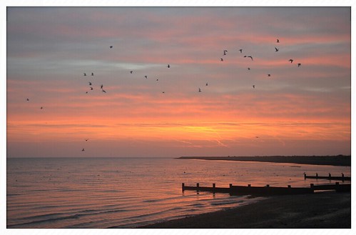 morning sun seagulls seascape beach thames sunrise kent seaside earlymorning rochester medway nofilter allhallows nikond5100