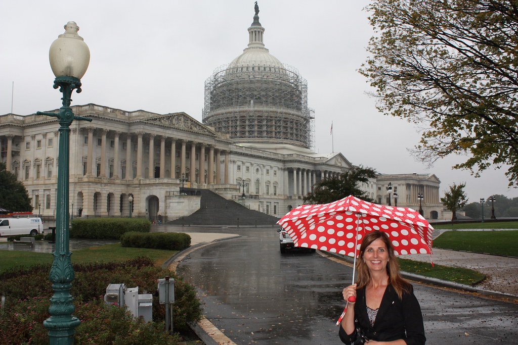 US Capitol Rain Day
