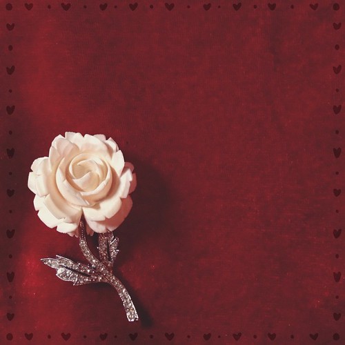 18. r is for... rose! #fmsphotoaday #littlemomentsapp