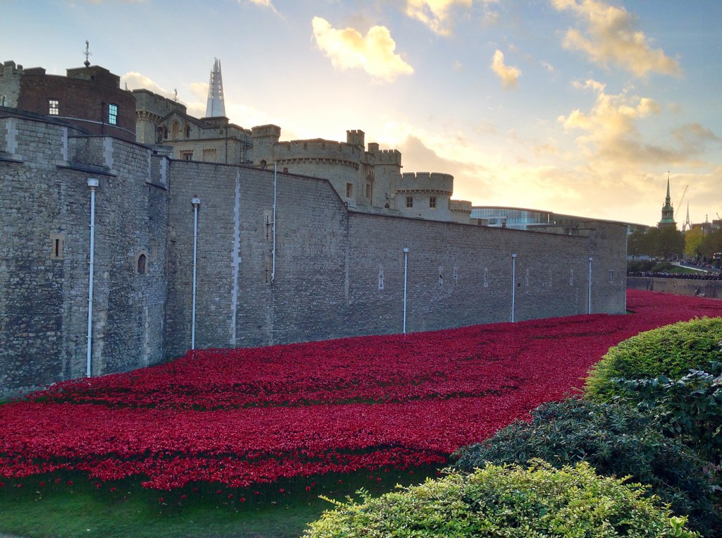 Tower of London red poppies