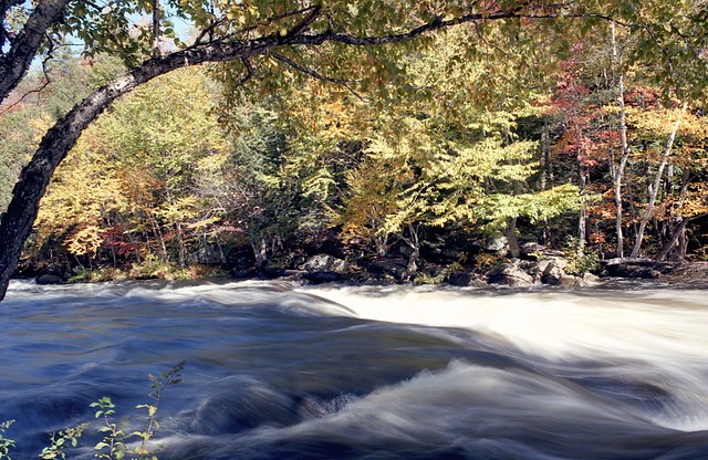 Flowing Water at the Oxtongue Rapids