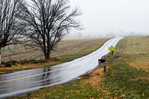 road usa tree colors fog landscape gap amish pa estadosunidos pensilvania