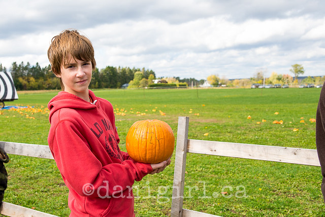 A 10 photo essay on pumpkin smashing