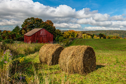 newyork fall barn landscape unitedstates marcellus