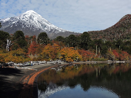 chile autumn volcano bosque reflejo andes otoño volcán volcanoe volcánlanín chilecentral regióndelaaraucanía lagunahuinfiuca