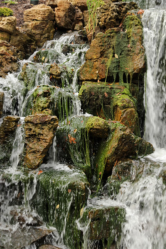 county college water stone waterfall rocks michigan arboretum algae hillsdale slayton