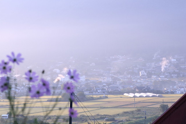 Spa town of disappearing in the mist 霧ときえる湯の町 大分県由布市湯布院町