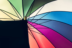 <p>an umbrella</p>