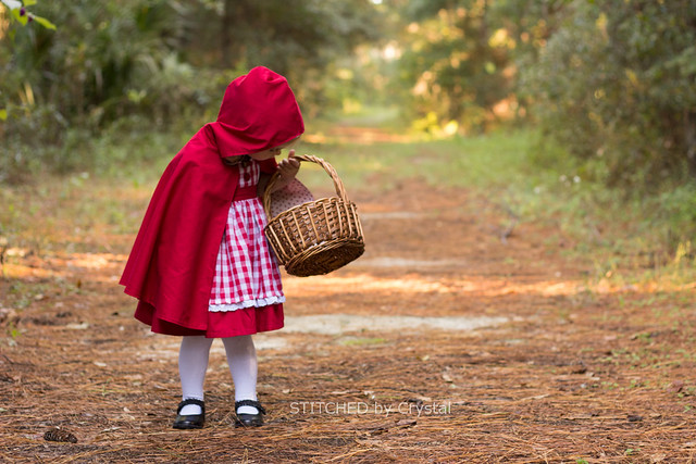 32+ Red Riding Hood Sewing Pattern