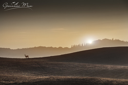 sunset italy sun canon eyes italia with alba horizon charm deer hills l toscana rolling