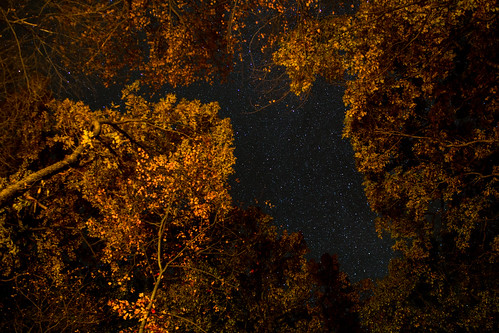 statepark autumn wisconsin forest stars woods fallcolors campfire devilslake devilslakestatepark