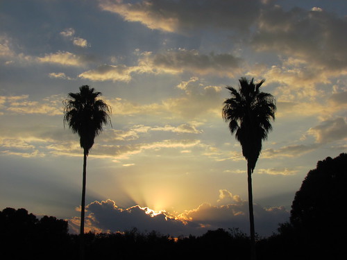 sunset sun nature sunshine clouds texas sundown cloudy dusk palmtrees riverbend