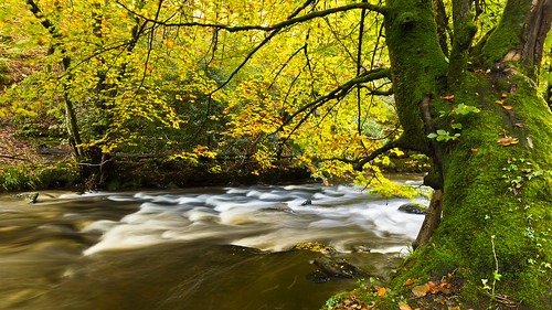 longexposure autumn fall forest river landscape nationalpark moss movement whitewater stream ngc change flowing cascade dartmoor current rushing teignvalley