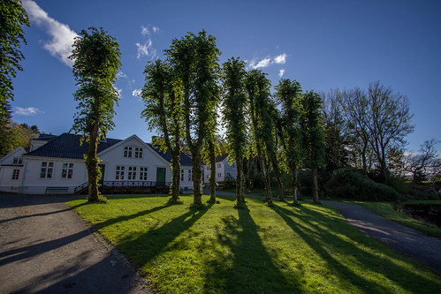 trees sunset sunlight nature norway canon eos wideangle 1022mm 60d alvøen canoneos60d