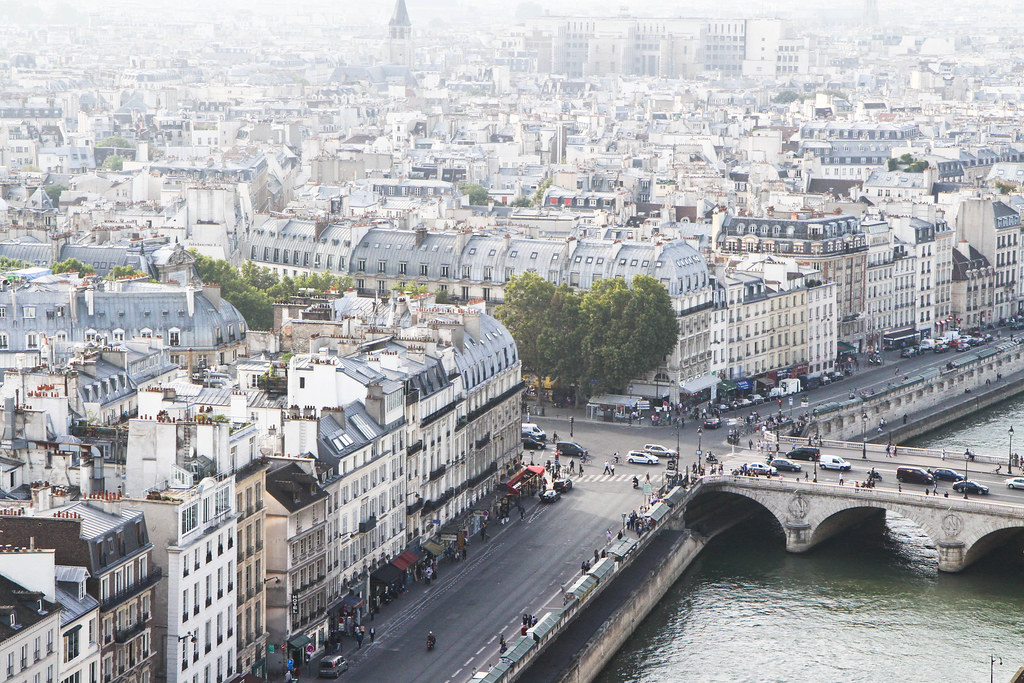 Paris atop Notre Dame