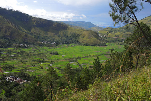 sumatra indonesia champs rizières laketobadanautoba