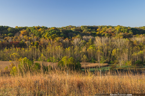 morning autumn trees fall colors sunrise early illinois october colorful foliage clear bluffs polarizer jimedgarstatepark casscounty kevinpalmer tamron1750mmf28 chandlerville pentaxk5